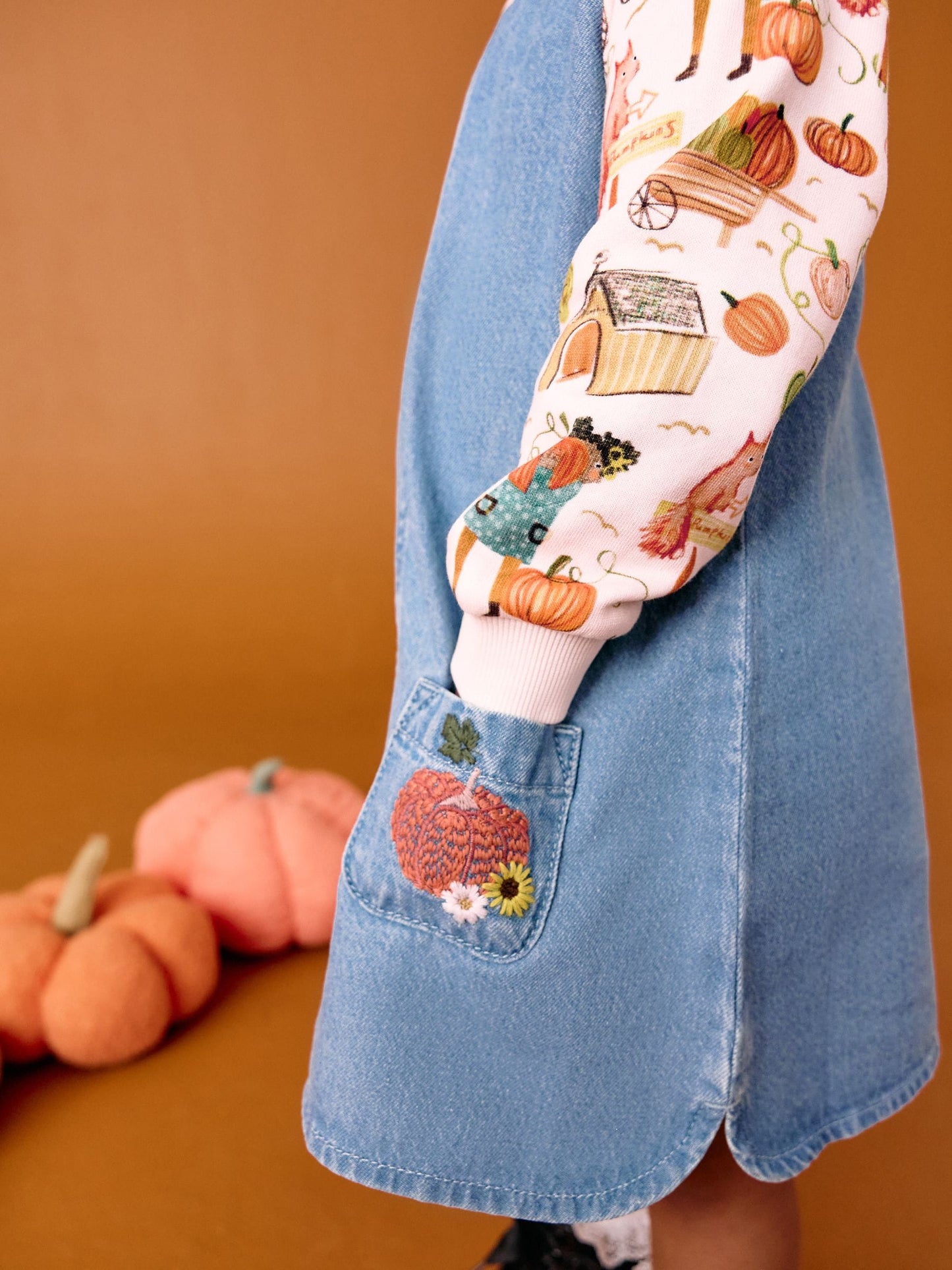 Pumpkin Print Raglan Denim Dress (3mths-8yrs)