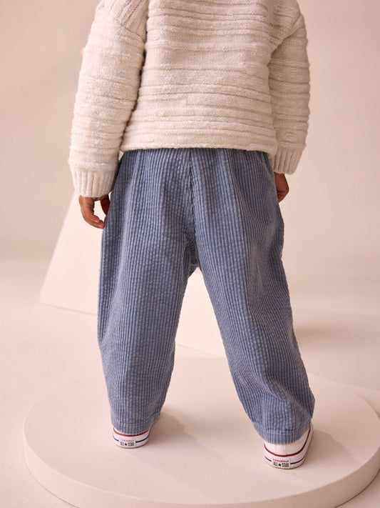 Light Blue Textured Corduroy Pull On Trousers (3mths-7yrs) image 2