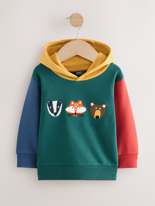Green Colourblock Long Sleeve Printed Hoodie (3mths-7yrs)