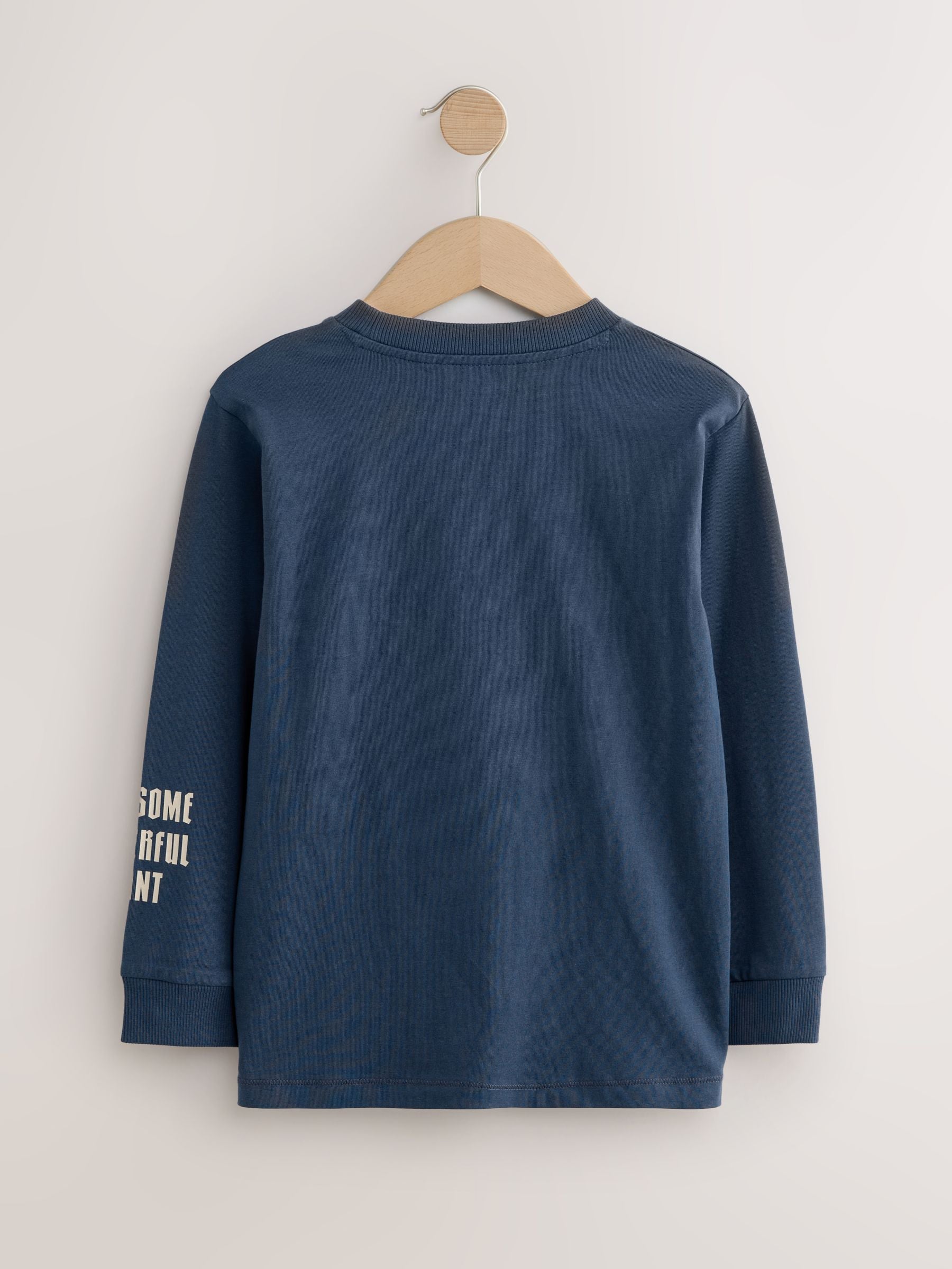 Dsiney Kidz - Navy/Blue/Ecru Dino Graphic Long Sleeve T-Shirts 3 Pack (3-16yrs) image 3