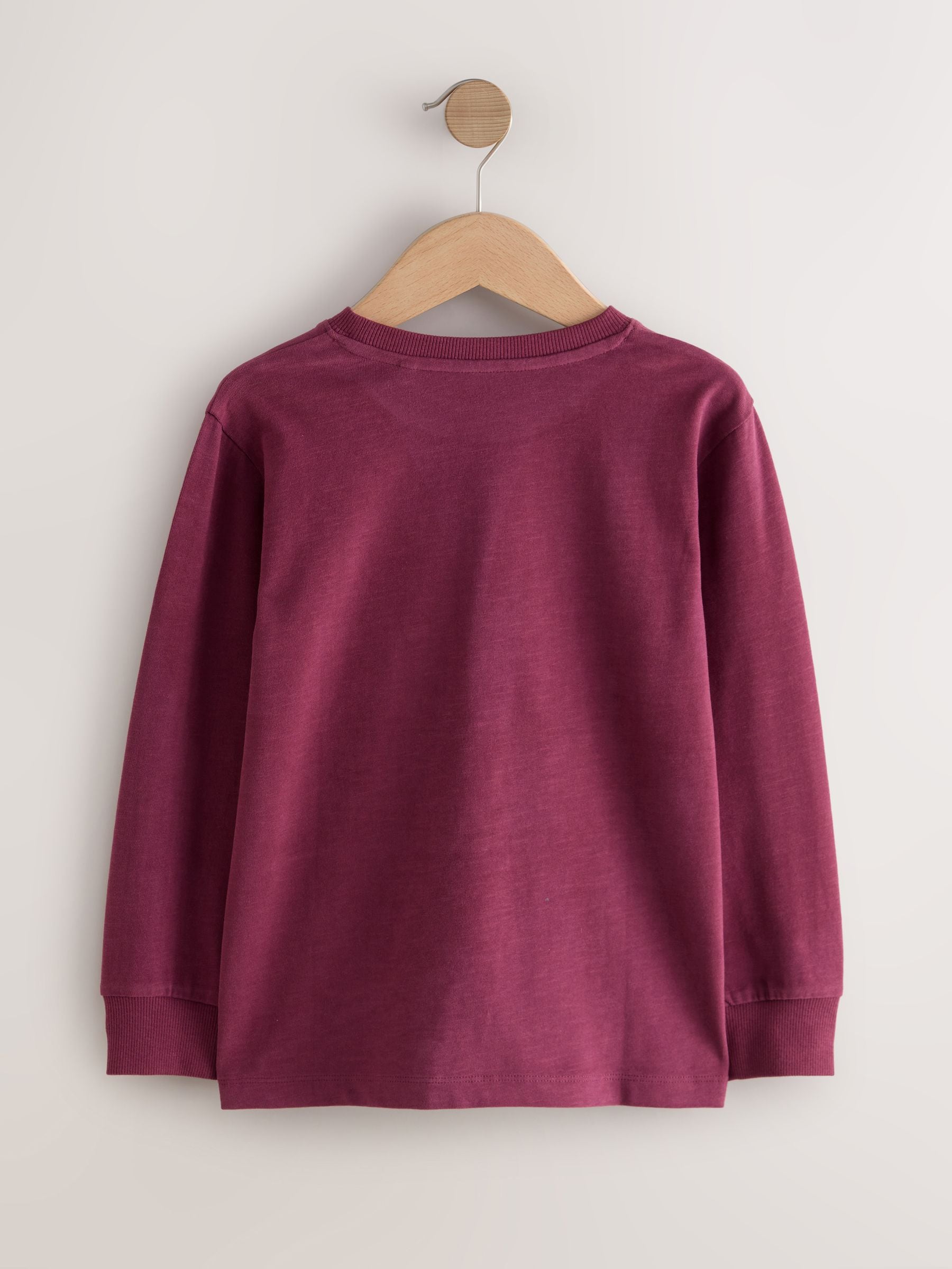 Dsiney Kidz - Berry Red Regular Fit Long Sleeve Cosy T-Shirt (3-16yrs) image 2
