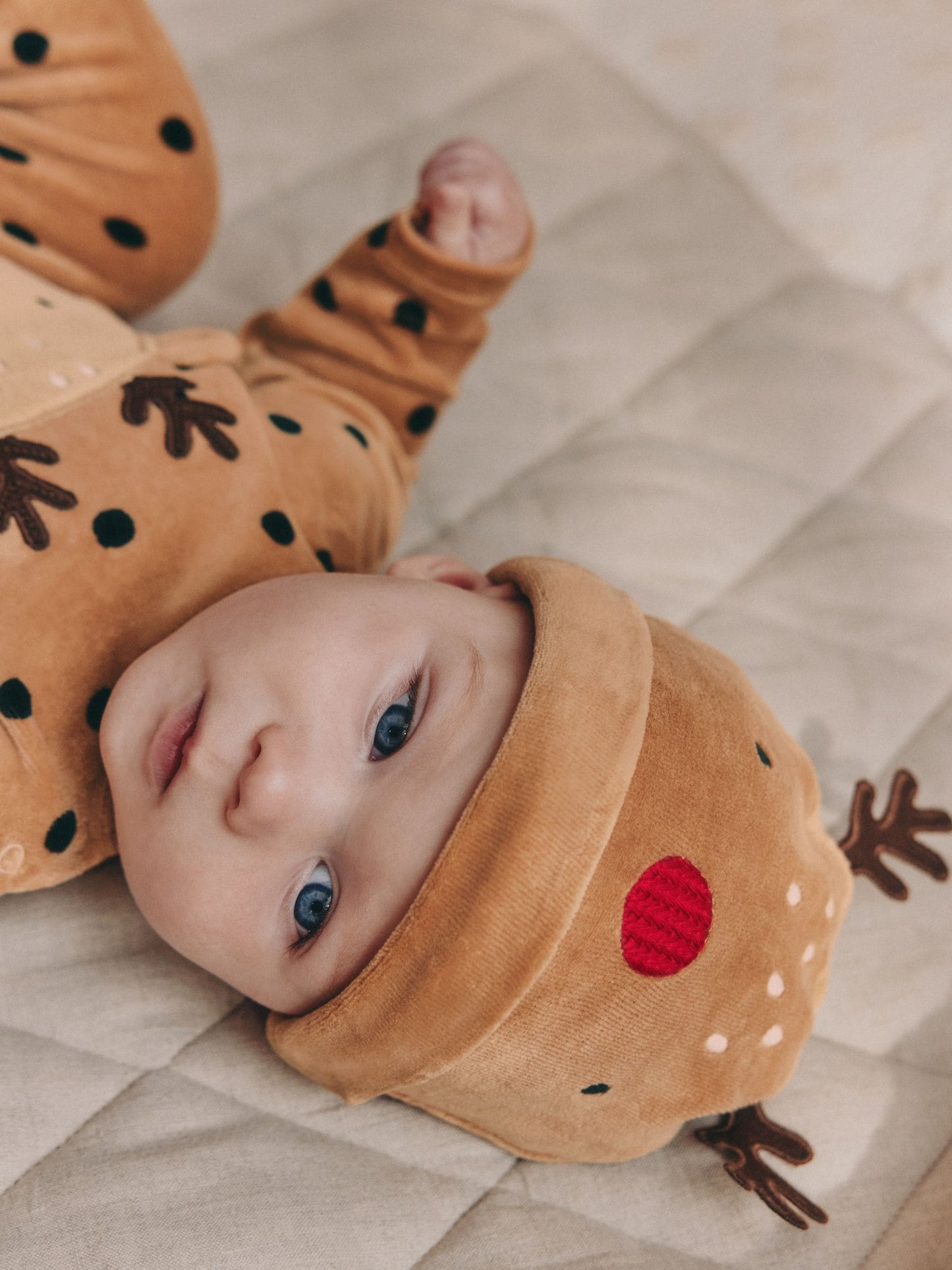 Brown Reindeer Baby Christmas Dress Up Sleepsuit (0mths-2yrs)