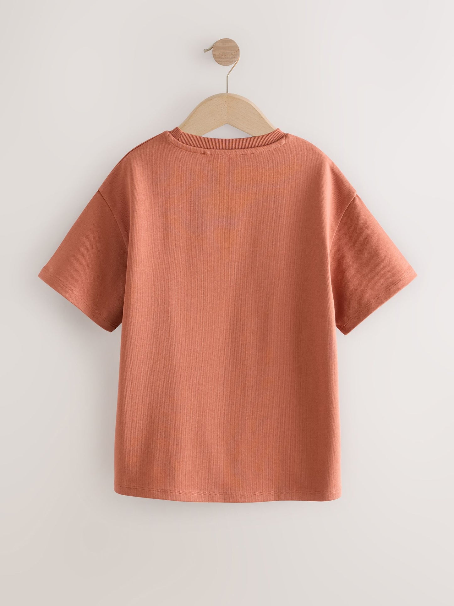 Dsiney Kidz - Rust Oversized Heavyweight T-Shirt (3-16yrs) image 5