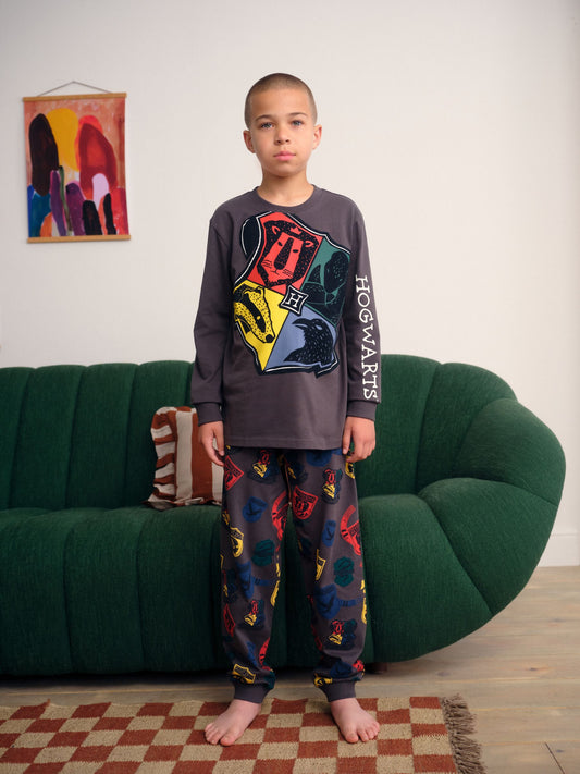 Grey/Blue Harry Potter Single Pyjamas (4-16yrs) image 1
