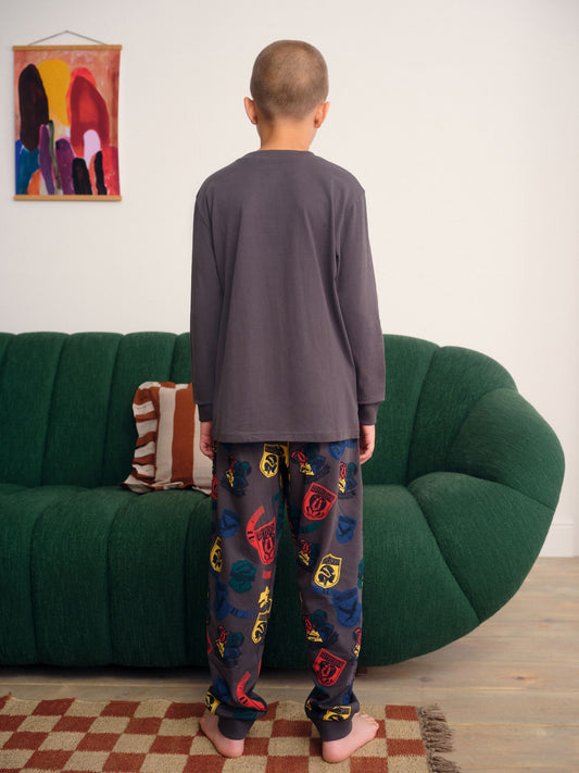 Grey/Blue Harry Potter Single Pyjamas (4-16yrs) image 3