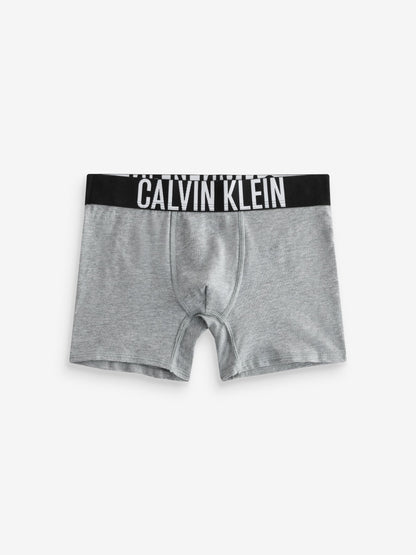 Dsiney Kidz - Calvin Klein Black/Grey Intense Power Boxer Briefs 2 Pack image 2