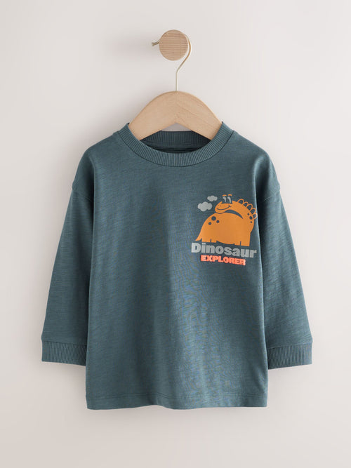 Charcoal Grey Dinosaur Long Sleeve Back Print T-Shirt (3mths-7yrs) image 1