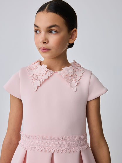 Baker by Ted Baker Pink Lace Collared Scuba Dress image 3