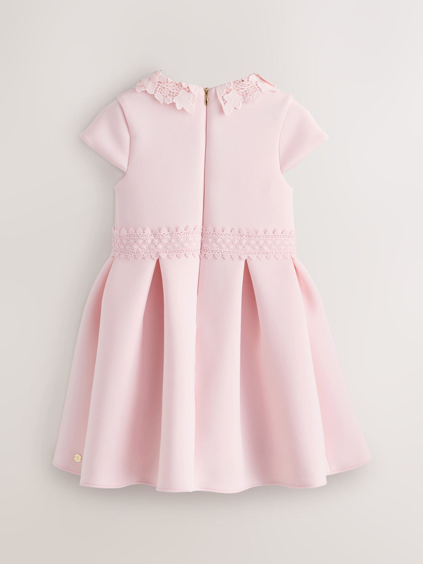 Baker by Ted Baker Pink Lace Collared Scuba Dress image 8