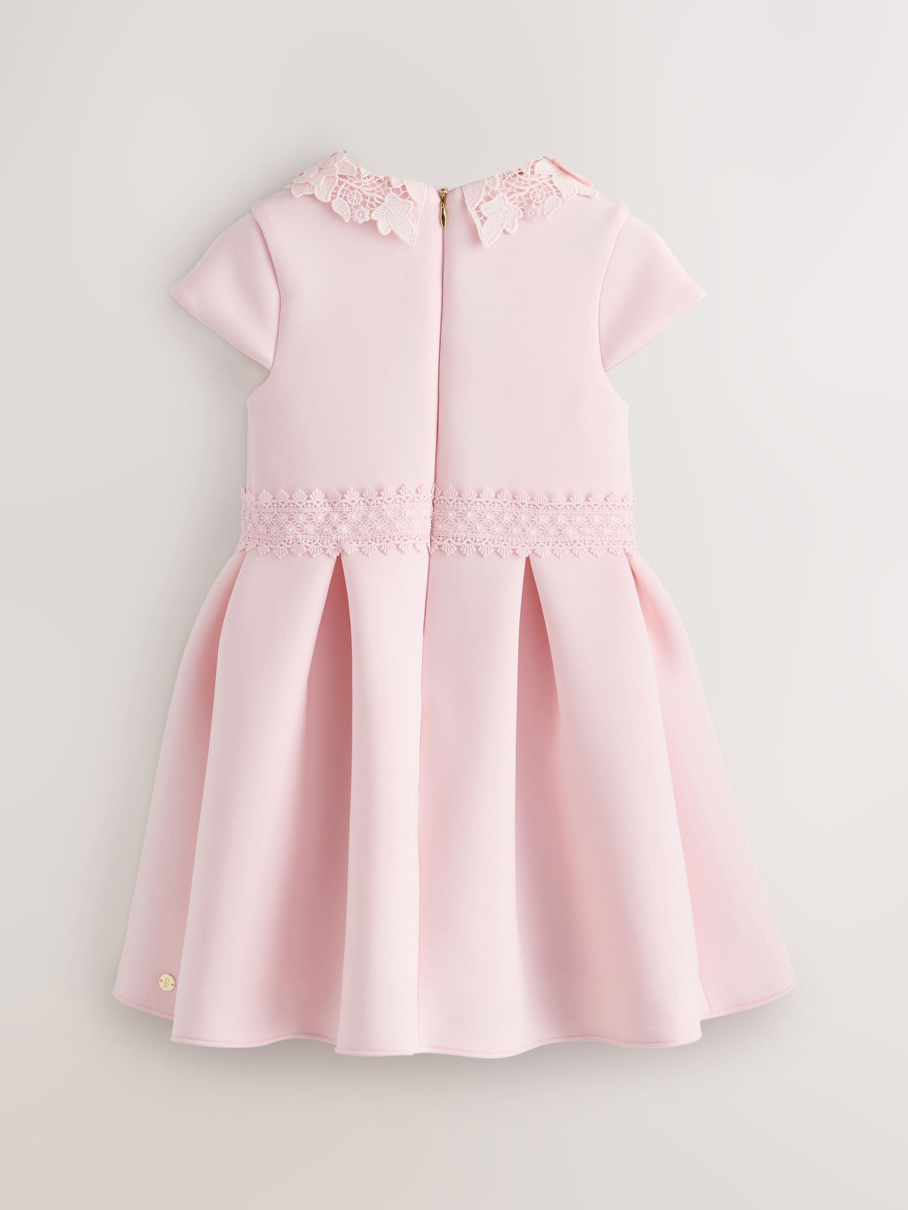 Baker by Ted Baker Pink Lace Collared Scuba Dress image 8
