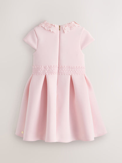 Baker by Ted Baker Pink Lace Collared Scuba Dress image 8