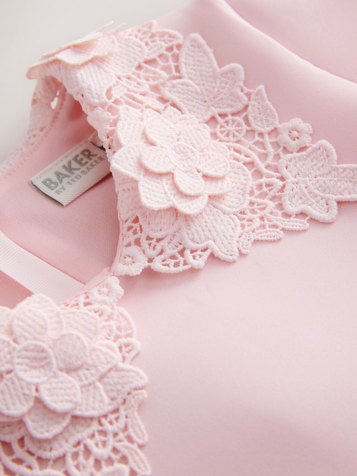 Baker by Ted Baker Pink Lace Collared Scuba Dress image 9