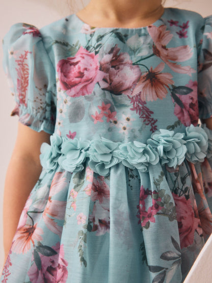 Blue Flower Corsage Dress (3mths-8yrs) image 5
