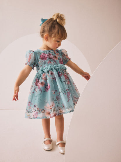 Blue Flower Corsage Dress (3mths-8yrs) image 1