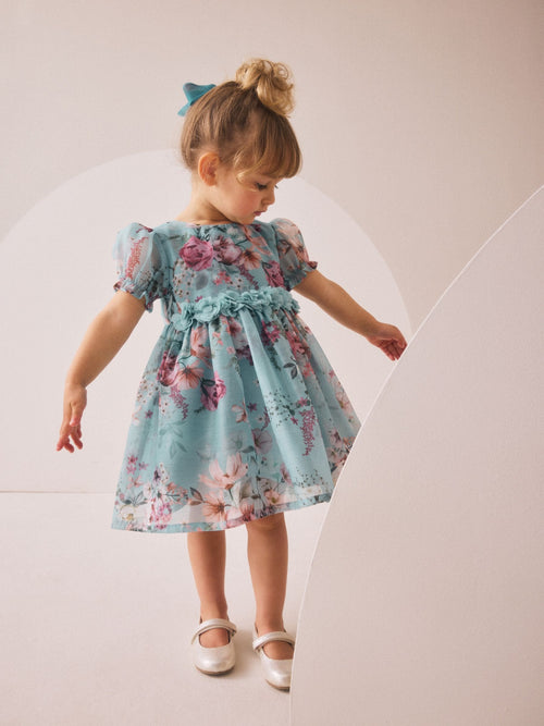 Blue Flower Corsage Dress (3mths-8yrs) image 1