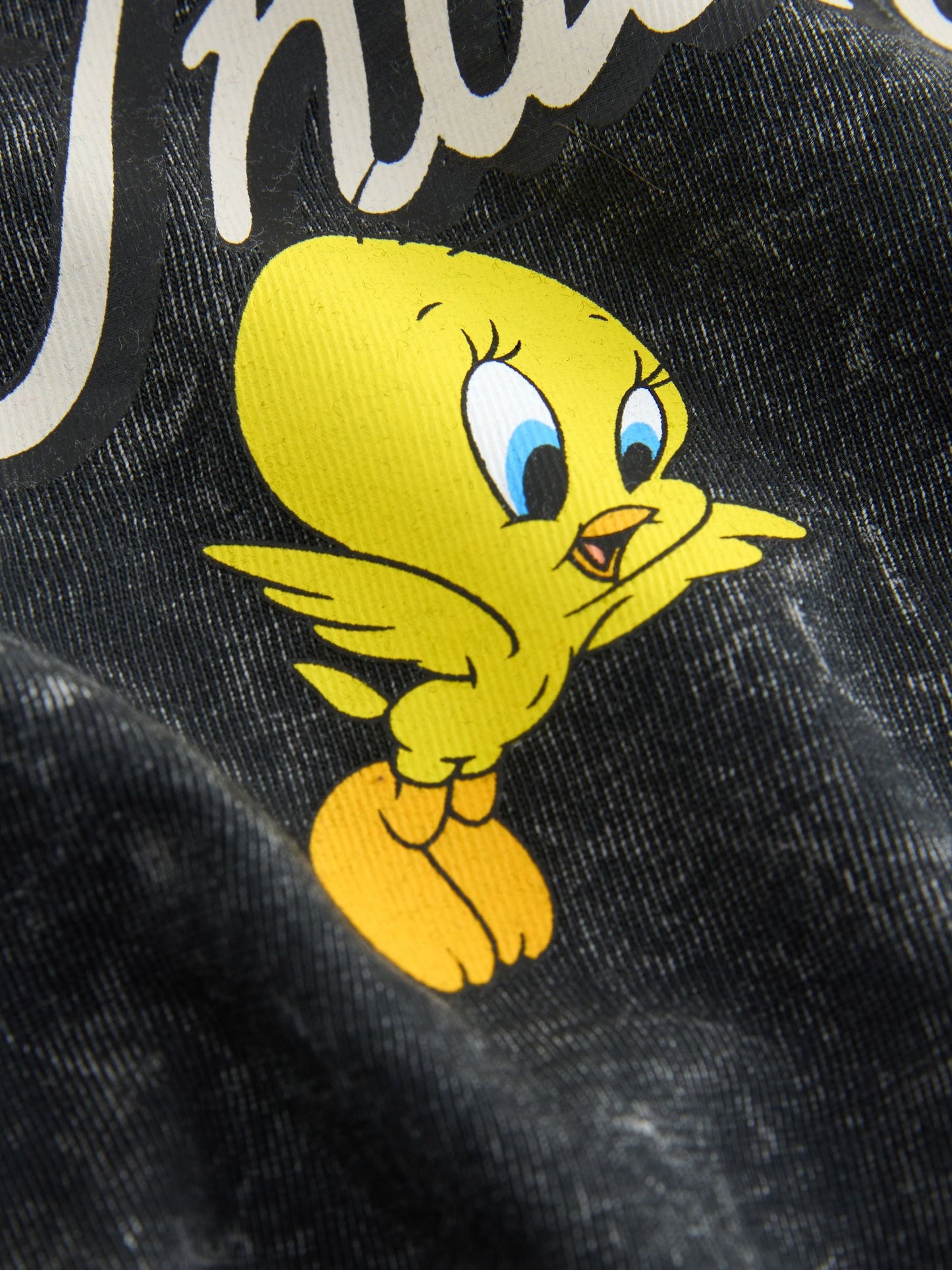 Charcoal Grey Looney Tunes Long Sleeve T-Shirt (3mths-8yrs) image 4
