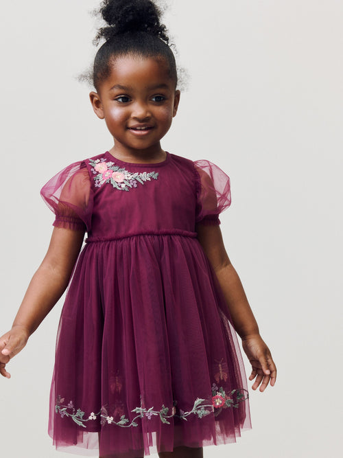 Berry Red Embroidered Mesh Party Dress (3mths-6yrs) image 1