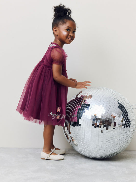 Berry Red Embroidered Mesh Party Dress (3mths-6yrs) image 2