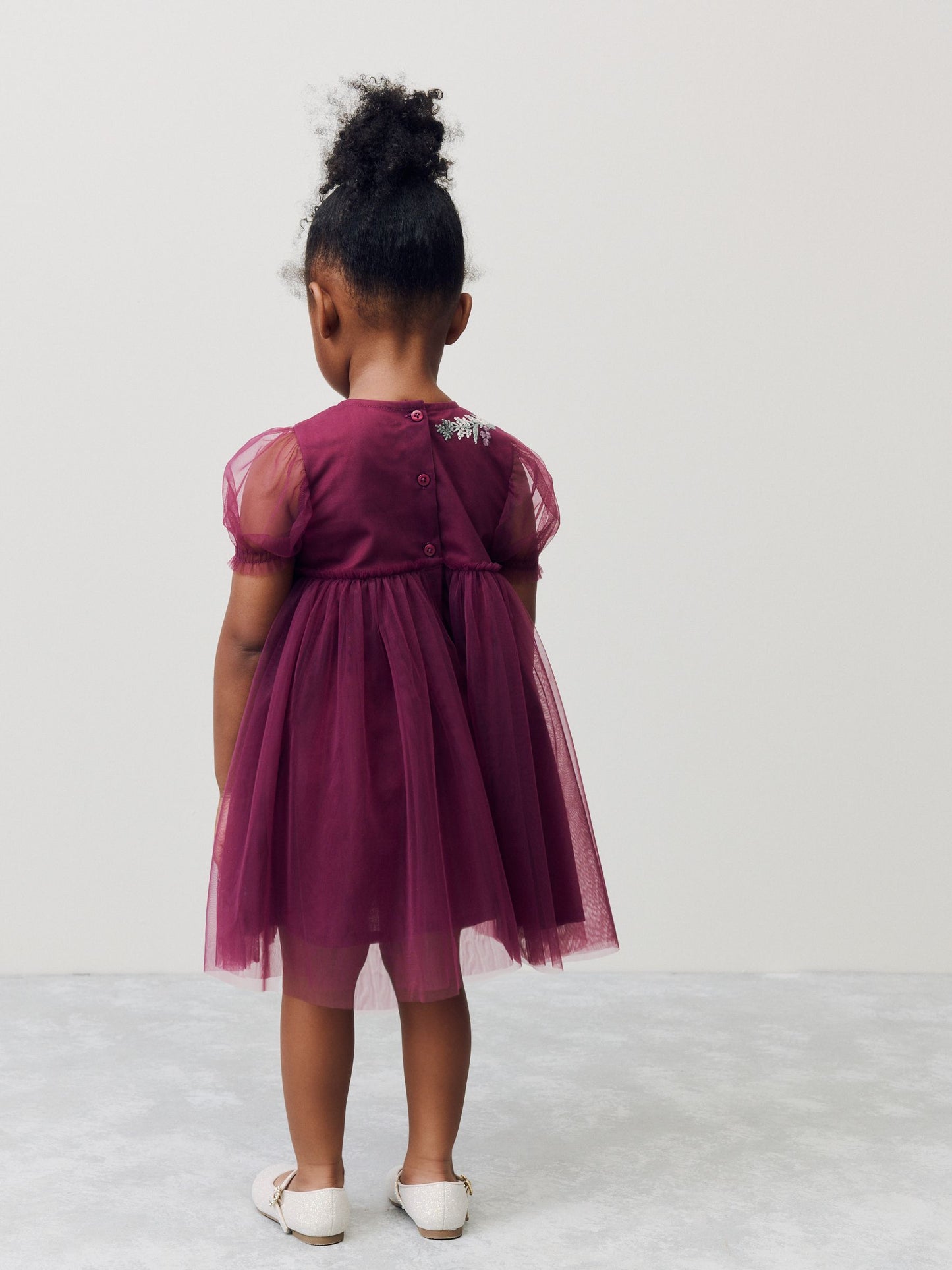 Berry Red Embroidered Mesh Party Dress (3mths-6yrs) image 3