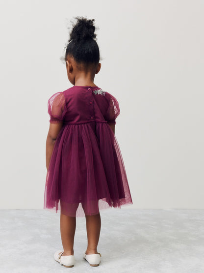 Berry Red Embroidered Mesh Party Dress (3mths-6yrs) image 3