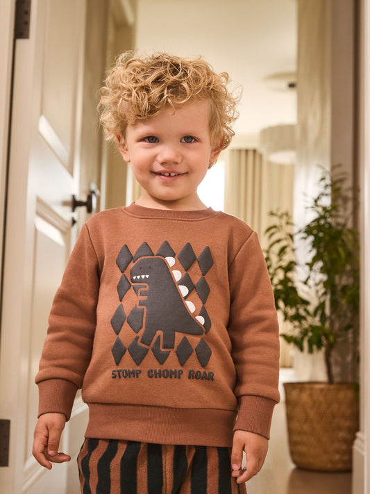 Rust Brown Dinosaur Single Cosy Fleece Pyjamas (9mths-12yrs) image 3