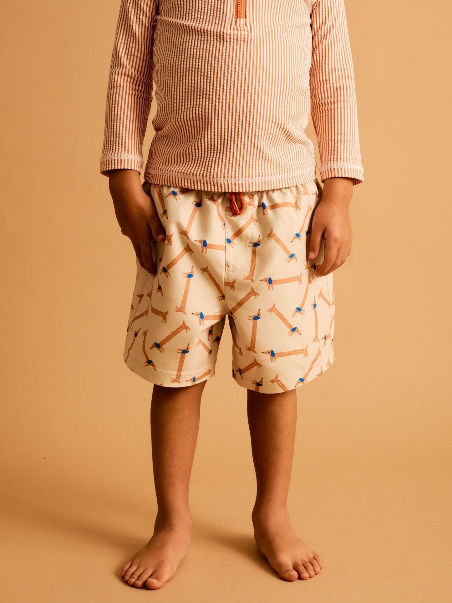 KIDLY By MORI Brown Swim Shorts image 1