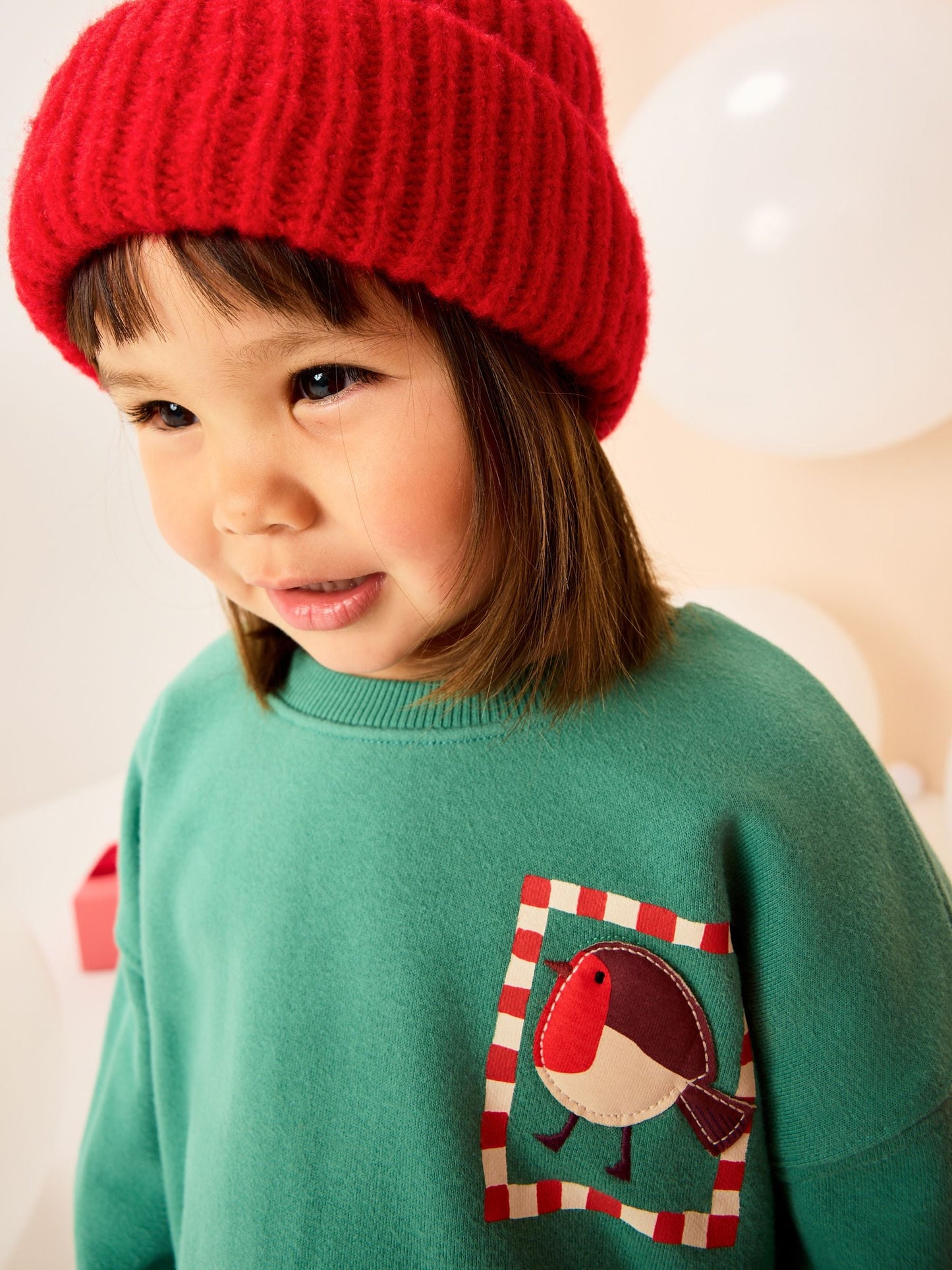 Green Christmas Robin Crew Neck Sweatshirt (3mths-7yrs)