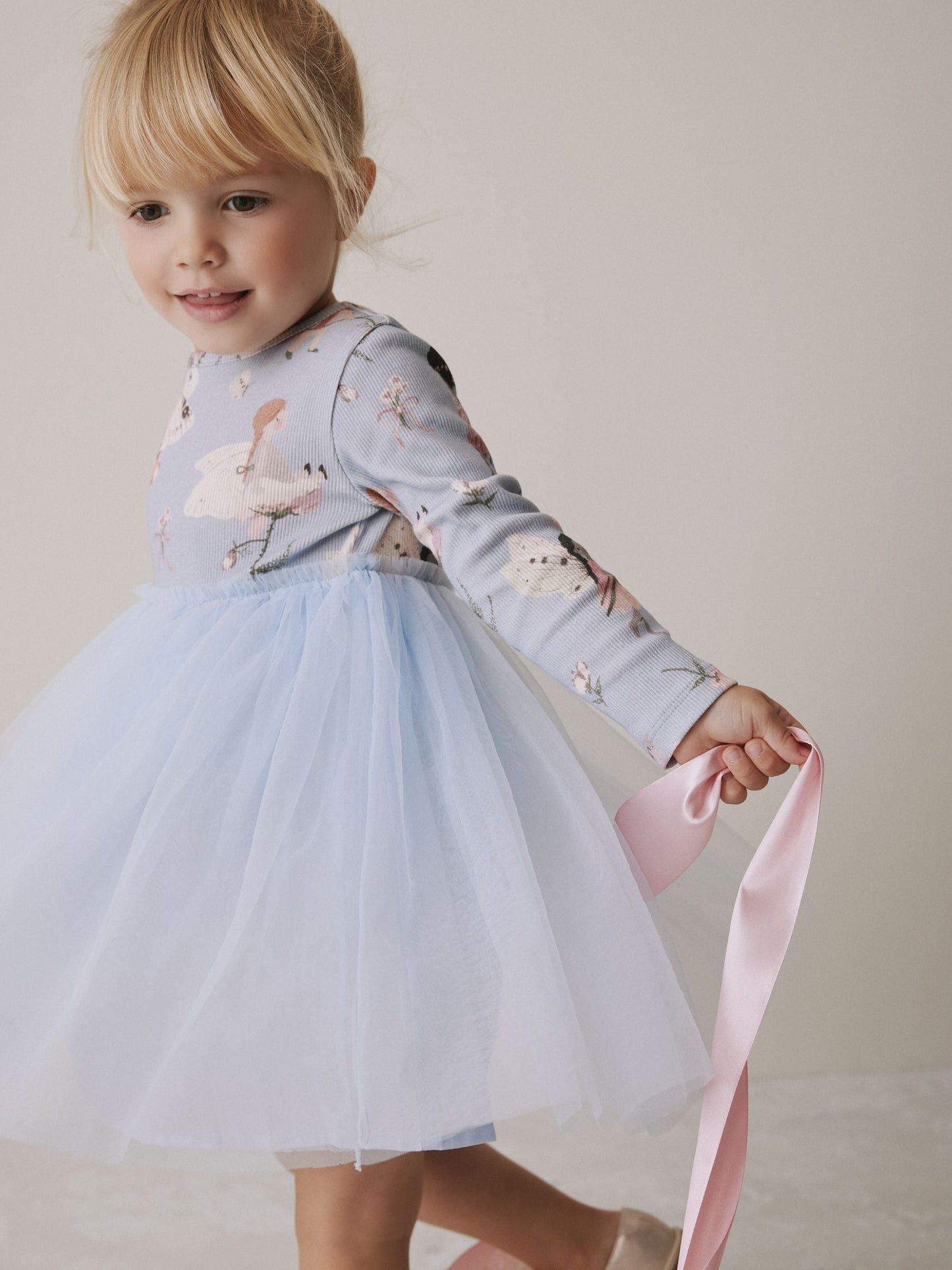 Blue Fairy Long Sleeve Mesh Party Dress (3mths-7yrs)