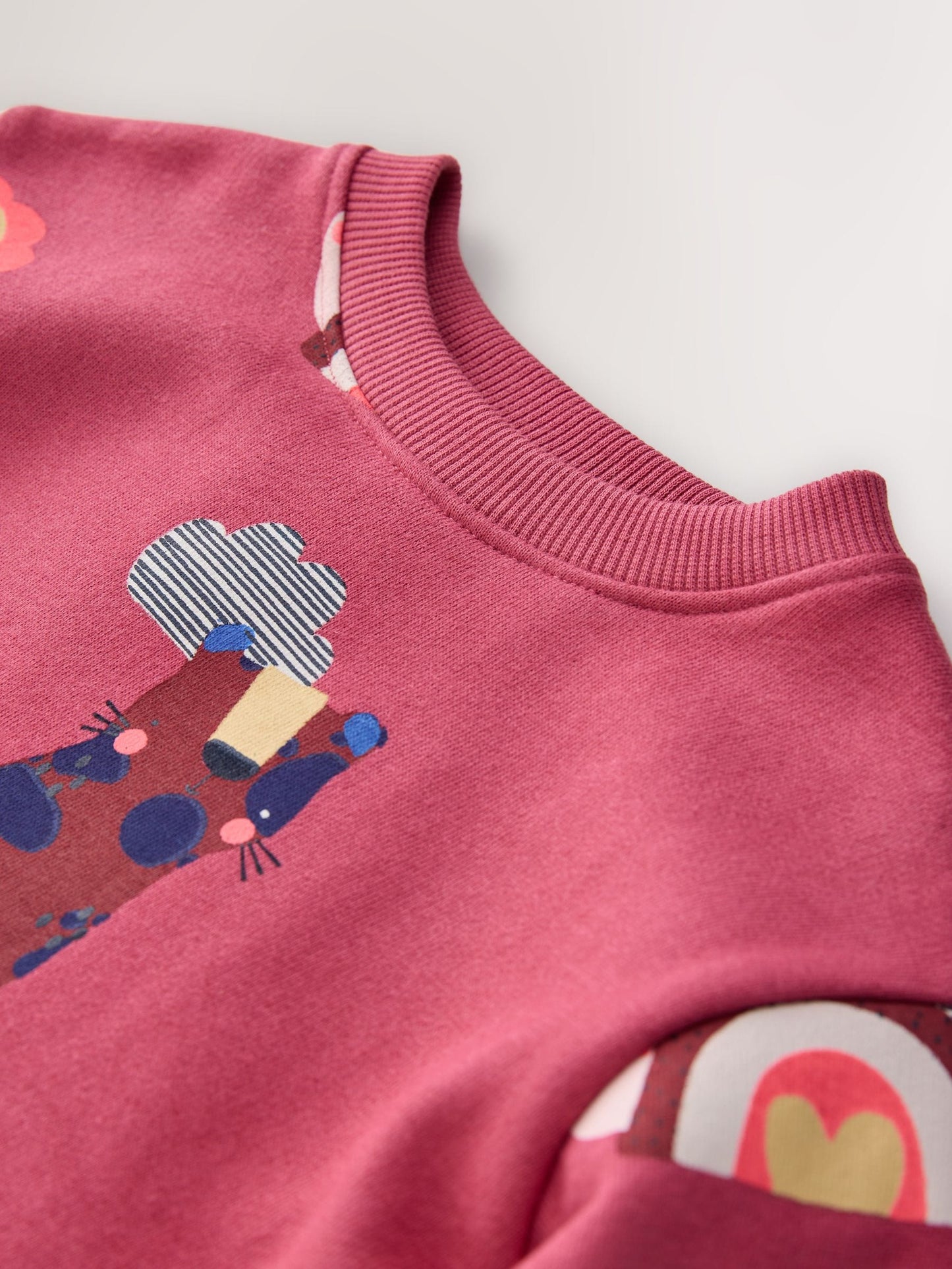 Animal Character Sweat Dress (3mths-7yrs)