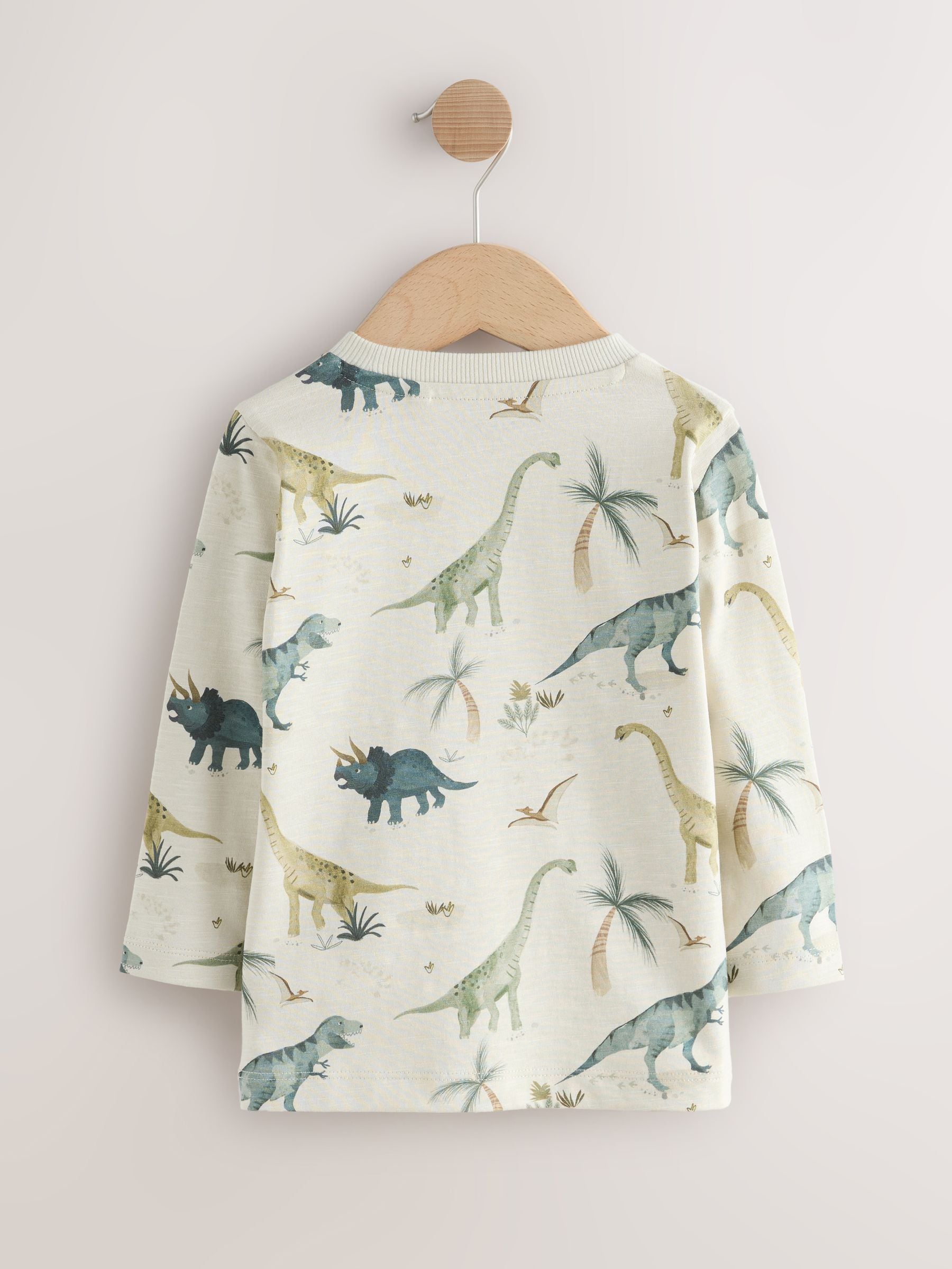 Mineral Watercolour Dinosaur Long Sleeve Graphic Print T-Shirts 3 Pack (3mths-7yrs) image 4