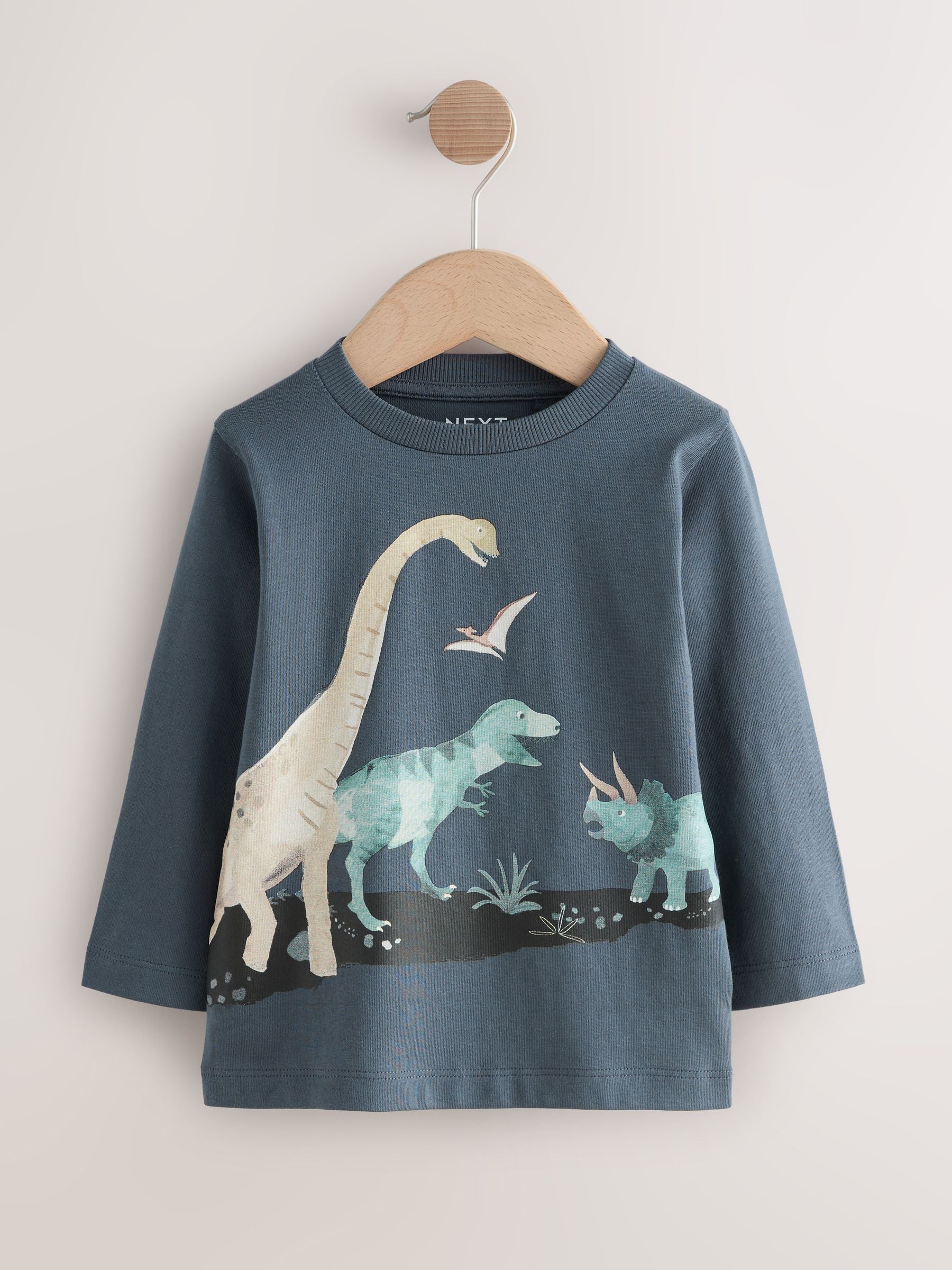 Mineral Watercolour Dinosaur Long Sleeve Graphic Print T-Shirts 3 Pack (3mths-7yrs) image 6