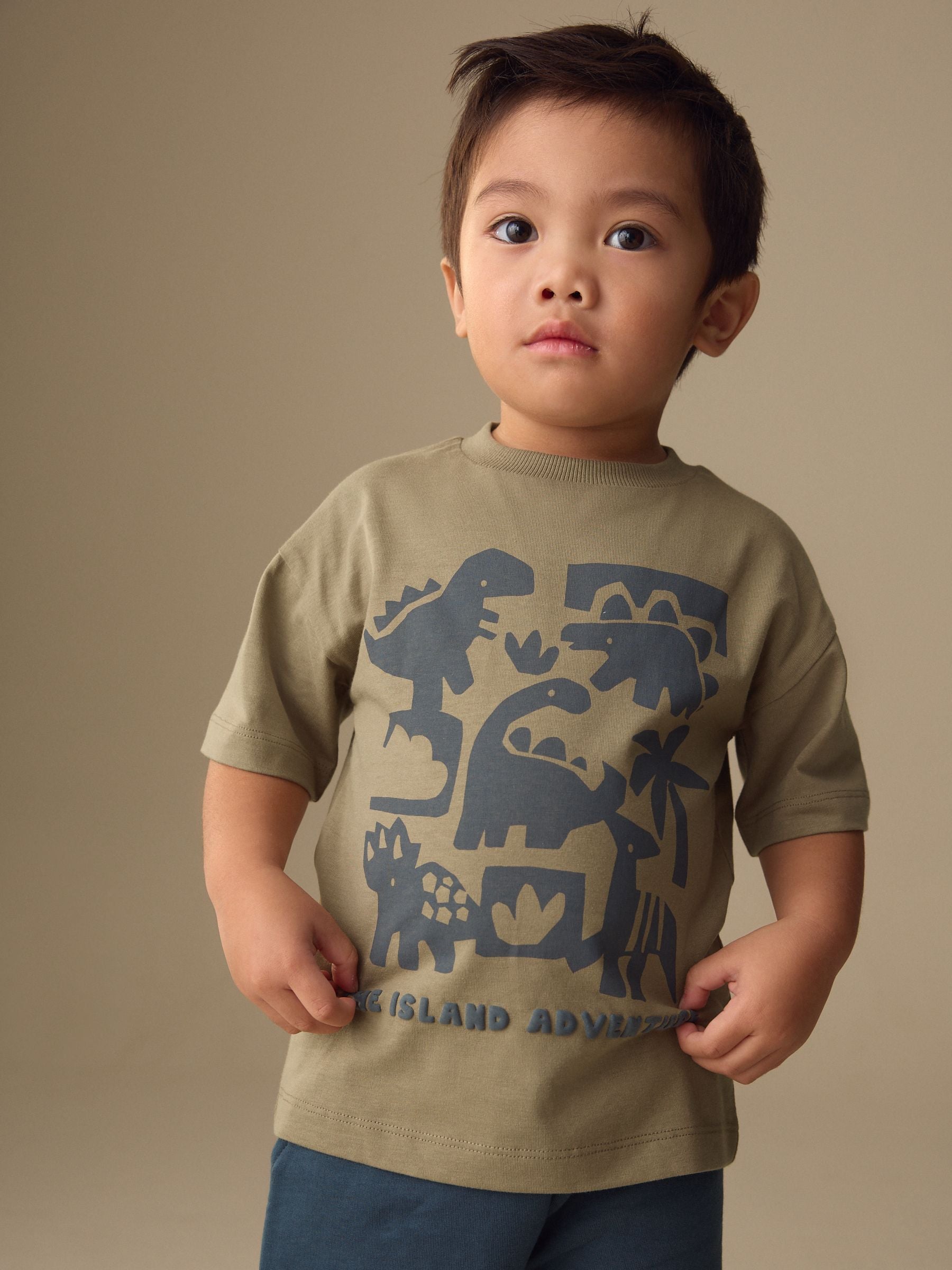 Blue/Brown Dinosaur Spikes Short Sleeve T-Shirt and Shorts Set 2 Pack (3mths-7yrs) image 4