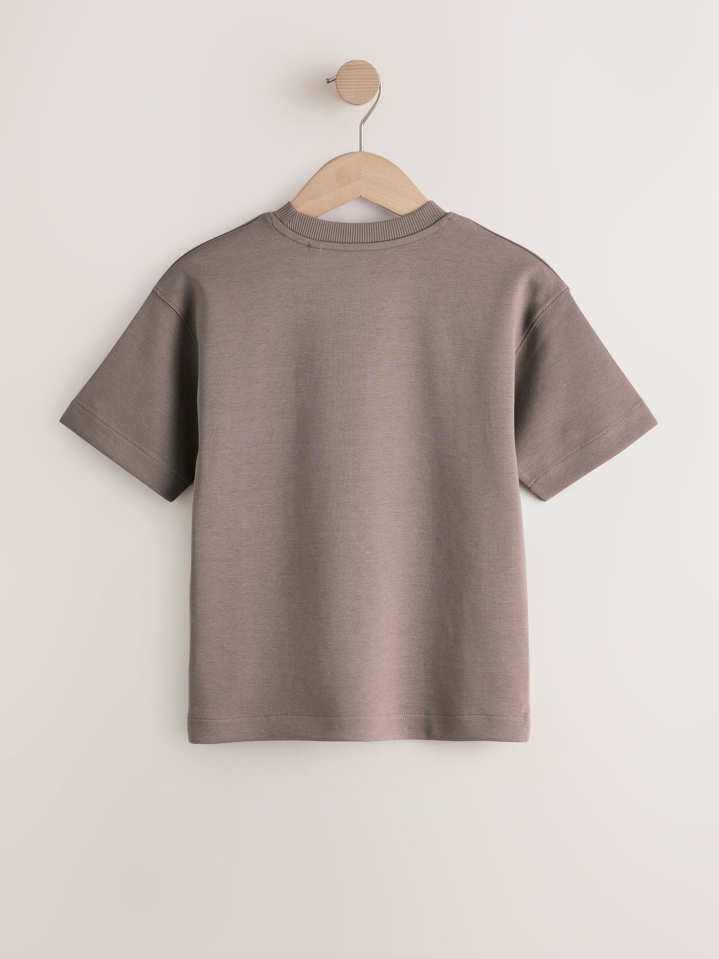 Dsiney Kidz - Mink Brown Graphic Heavyweight Short Sleeve T-Shirt (3-16yrs) image 2