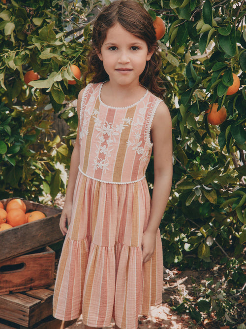 Dsiney Kidz - Rust Brown Embroidered Sleeveless Dress (3-16yrs) image 1