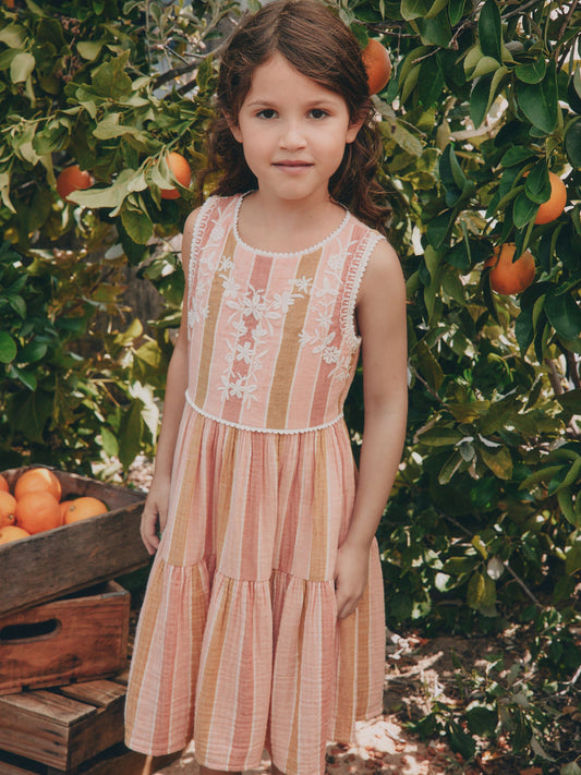 Rust Brown Embroidered Sleeveless Dress (3-16yrs) image 1