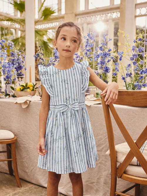 Blue Stripe Ruffle Sleeve Dress (3-16yrs) image 1