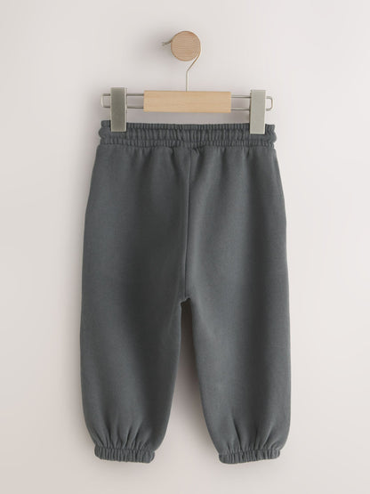Charcoal Grey Regular Fit Soft Touch Jersey Joggers (3mths-7yrs) image 2