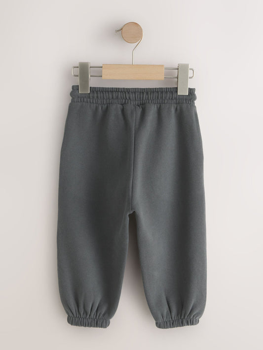Charcoal Grey Regular Fit Soft Touch Jersey Joggers (3mths-7yrs) image 2