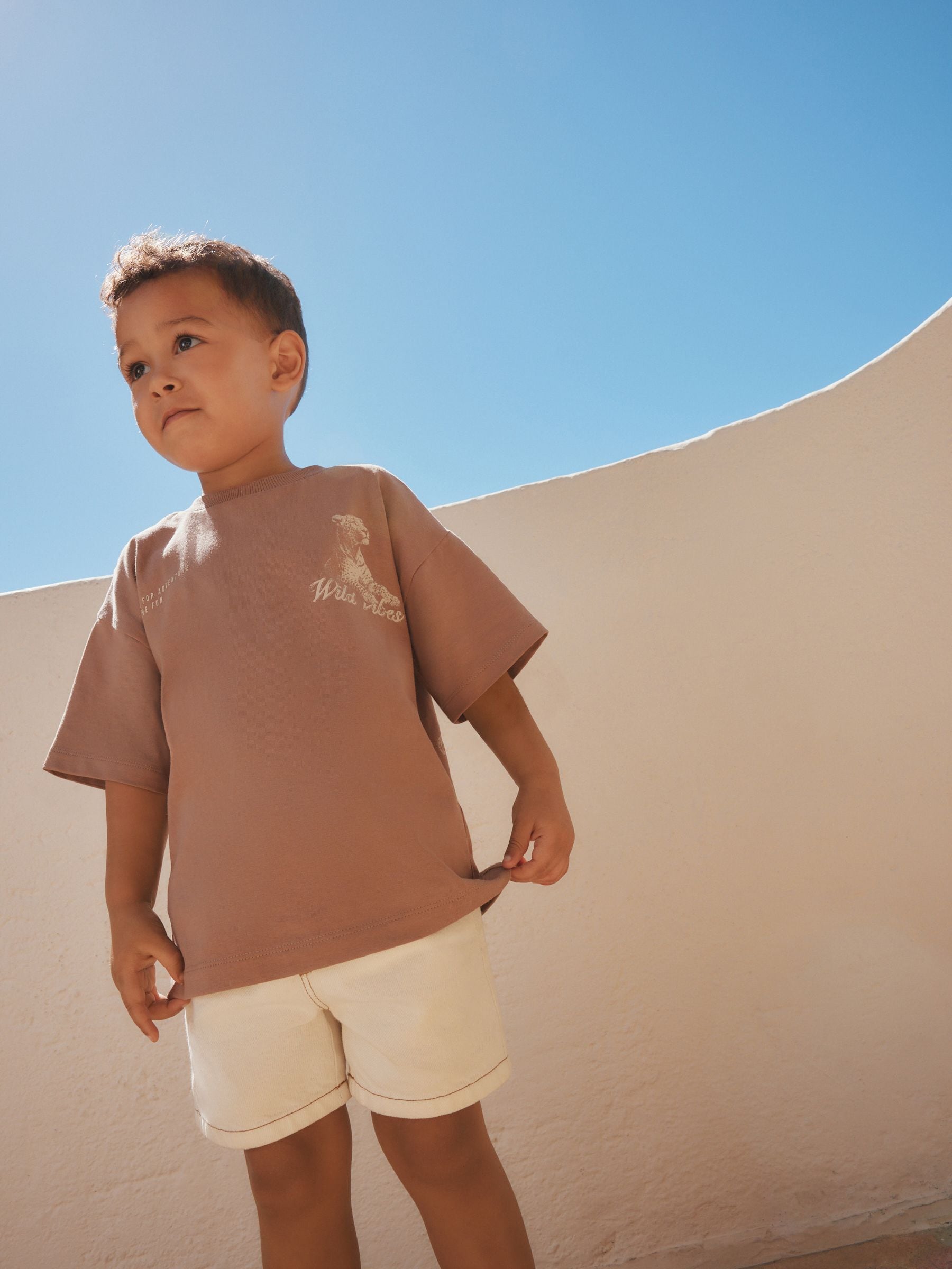 Neutral / Tan Wild Vibes Tiger Short Sleeve Back Print T-Shirt (3mths-7yrs) image 2
