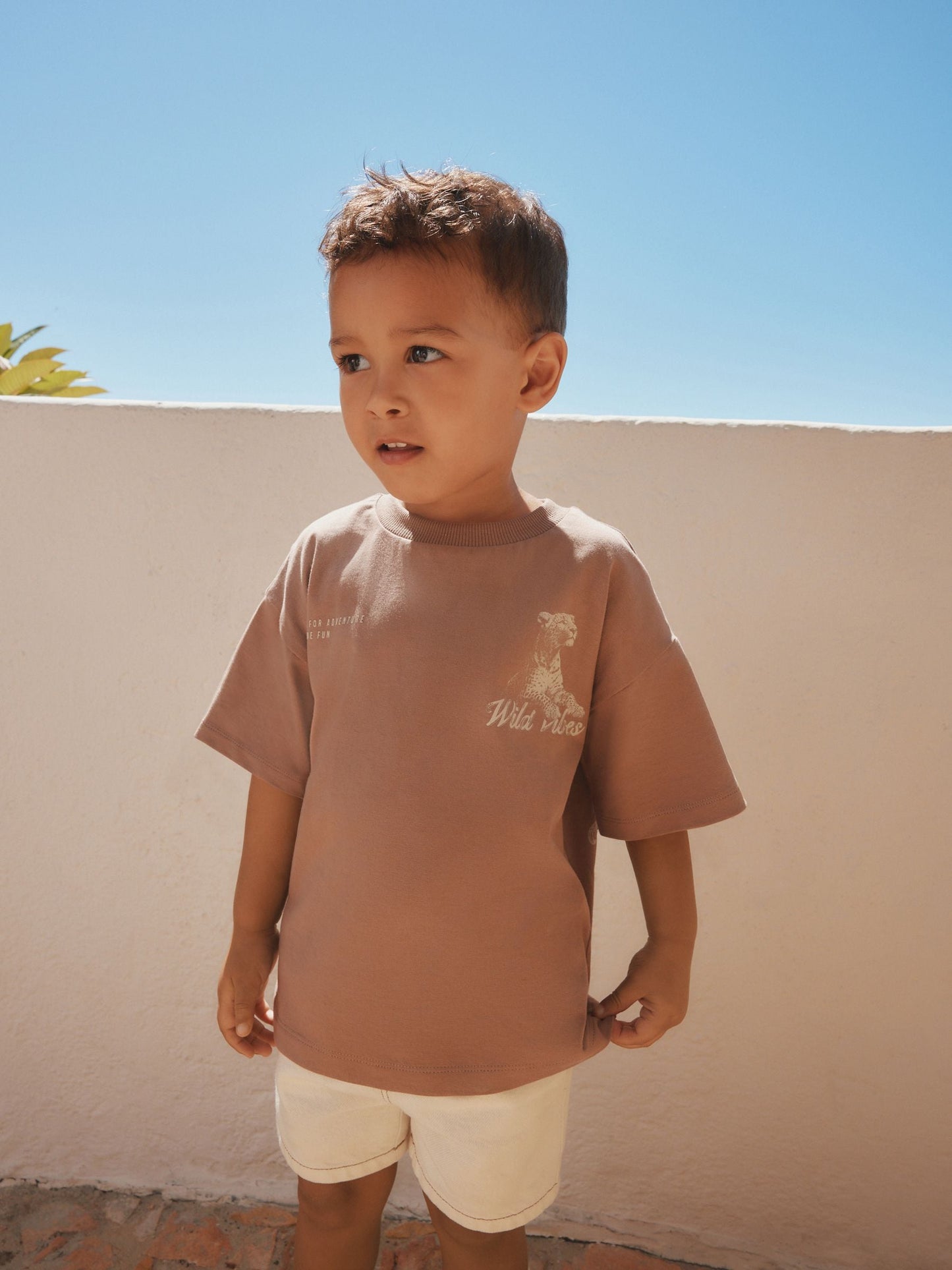 Neutral / Tan Wild Vibes Tiger Short Sleeve Back Print T-Shirt (3mths-7yrs) image 4