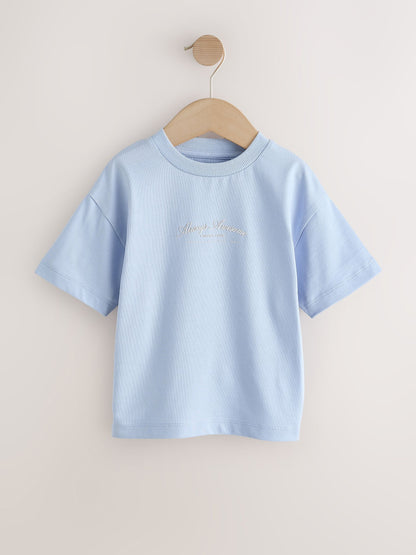Grey/Brown/Blue/White Slogan Short Sleeve Graphic T-Shirts 4 Pack (3mths-7yrs) image 2