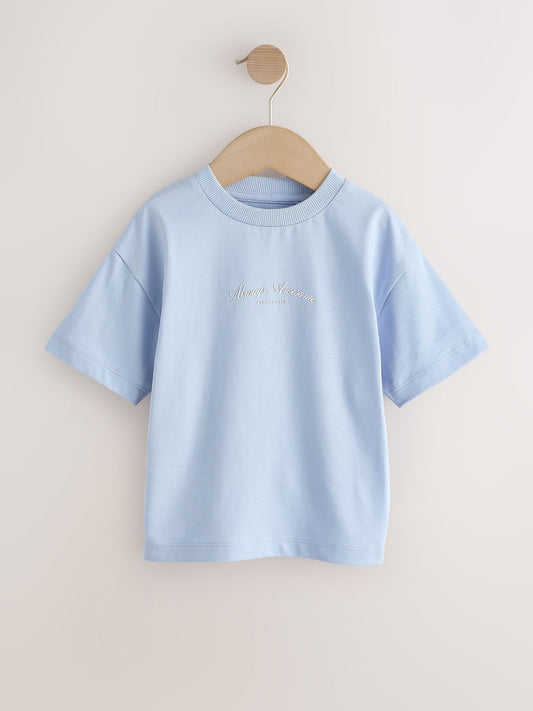 Grey/Brown/Blue/White Slogan Short Sleeve Graphic T-Shirts 4 Pack (3mths-7yrs) image 2