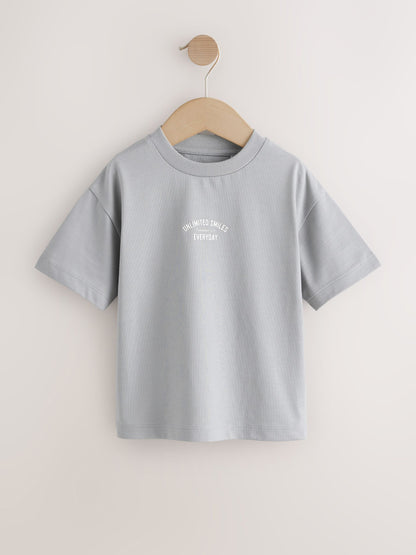 Grey/Brown/Blue/White Slogan Short Sleeve Graphic T-Shirts 4 Pack (3mths-7yrs) image 4