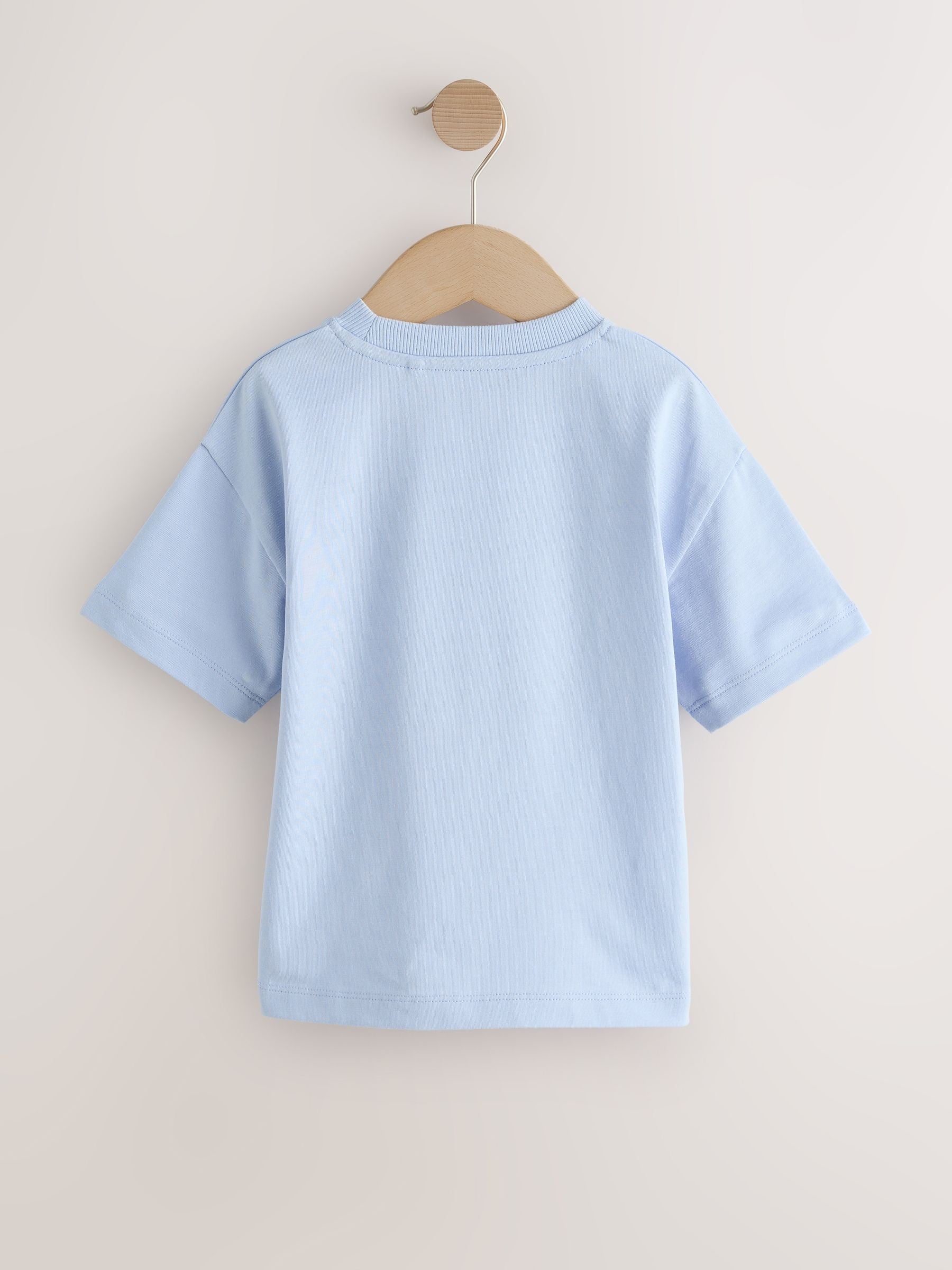 Grey/Brown/Blue/White Slogan Short Sleeve Graphic T-Shirts 4 Pack (3mths-7yrs) image 6