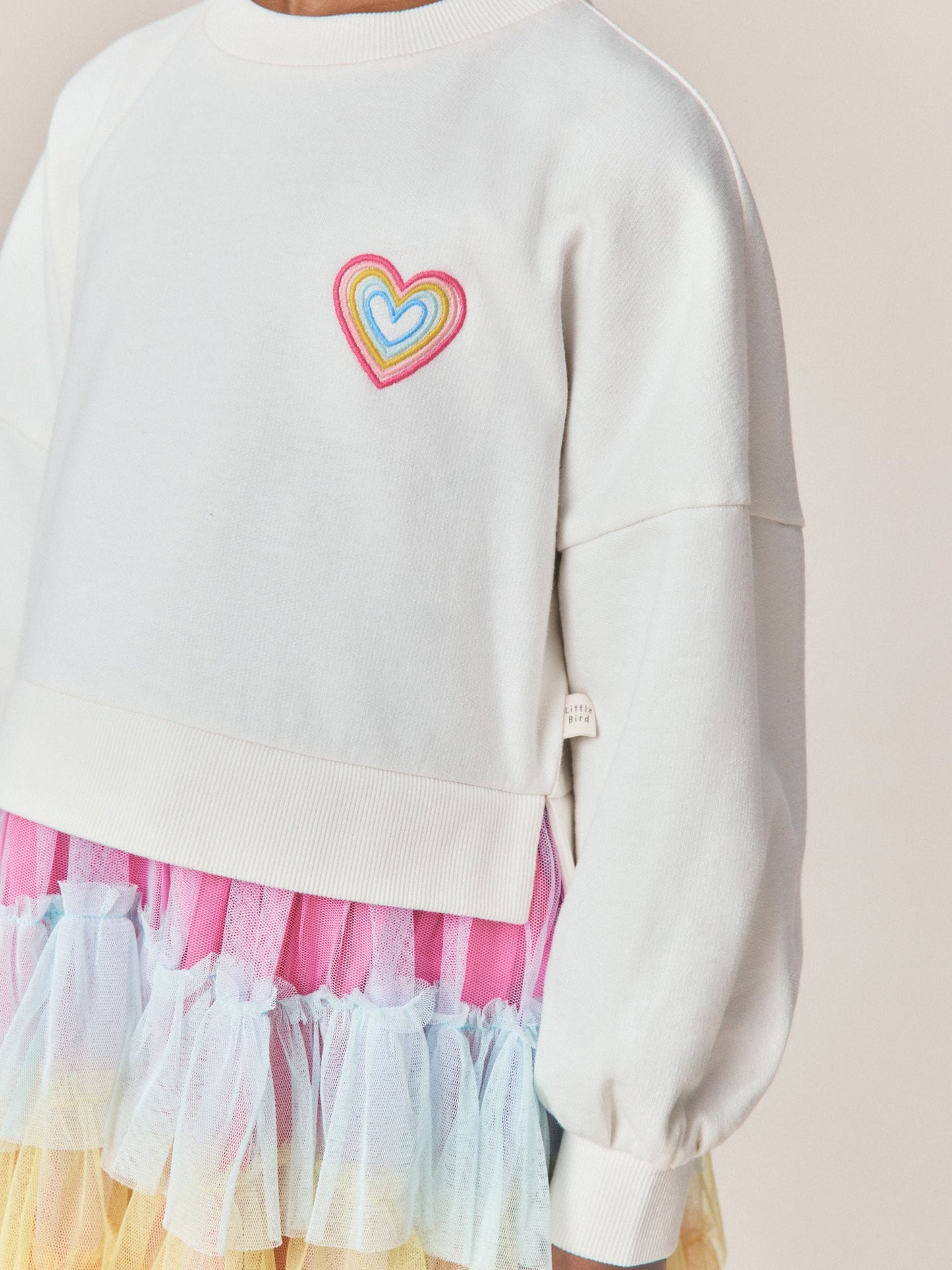 Dsiney Kidz - Little Bird by Jools Oliver Rainbow Heart Sweat & Tulle Tutu Dress image 4