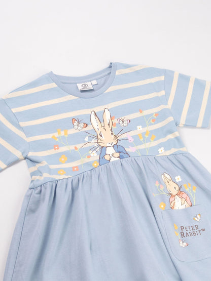 Vanilla Underground Blue Peter Rabbit Stripey Blue Dress image 4