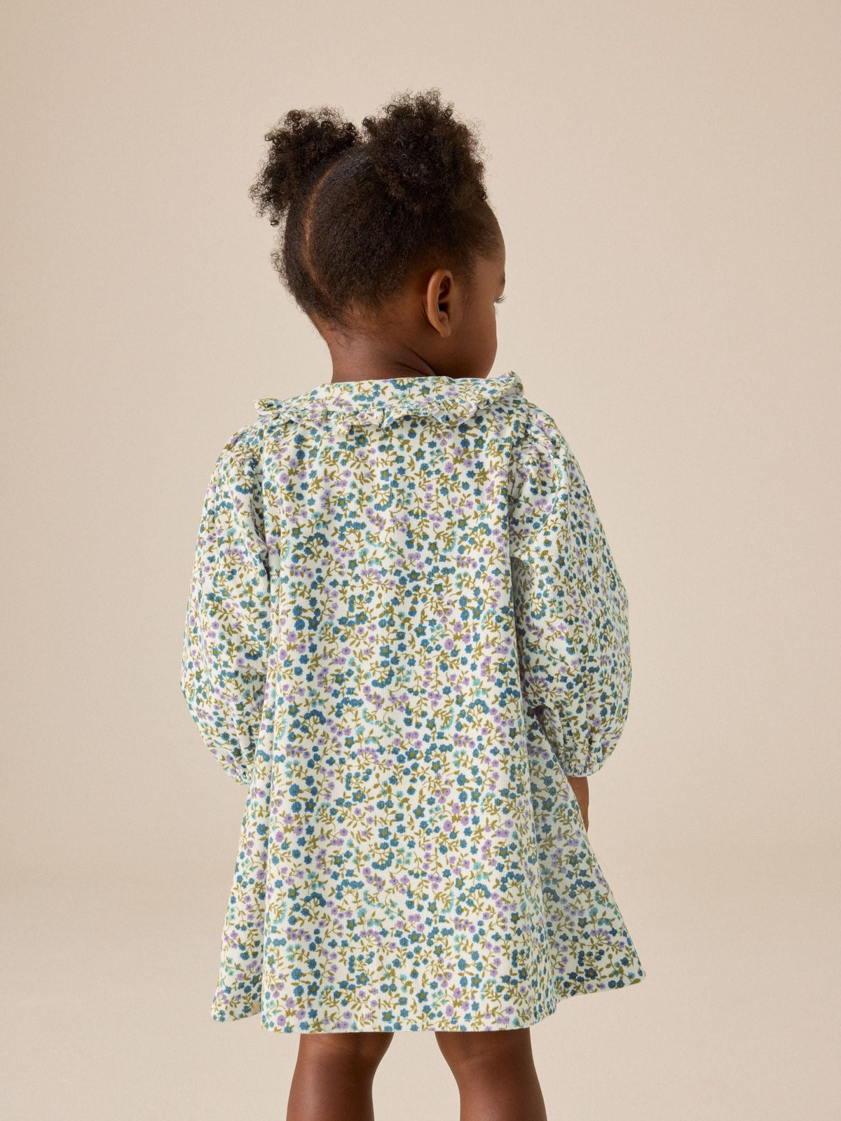 Dsiney Kidz - Blue Ditsy Floral Cord 3D Bow Collar Dress (3mths-8yrs) image 3
