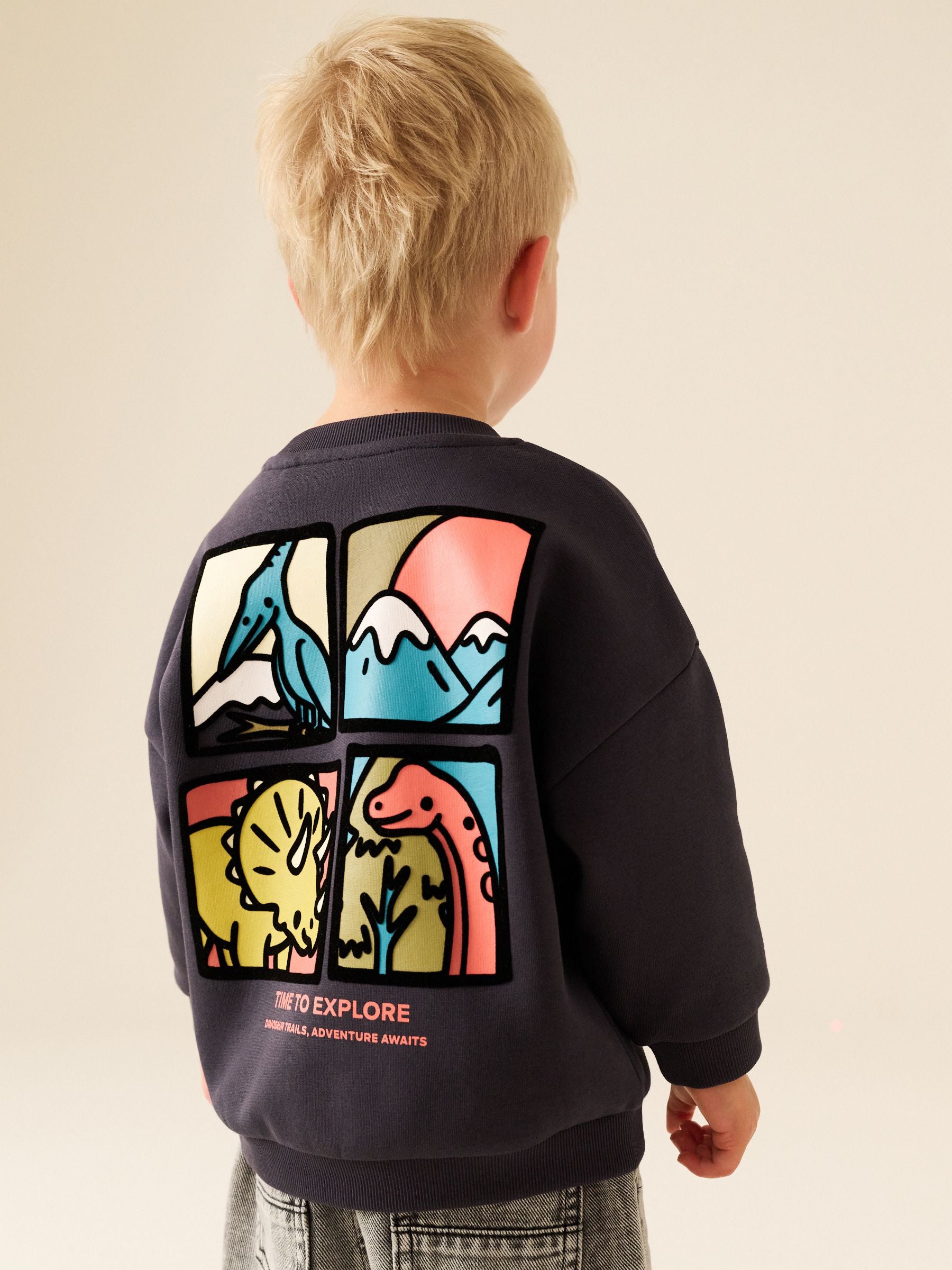 Dsiney Kidz - Dark Grey Dinosaur Back Printed Crew Neck Sweat Top (3mths-7yrs) image 1