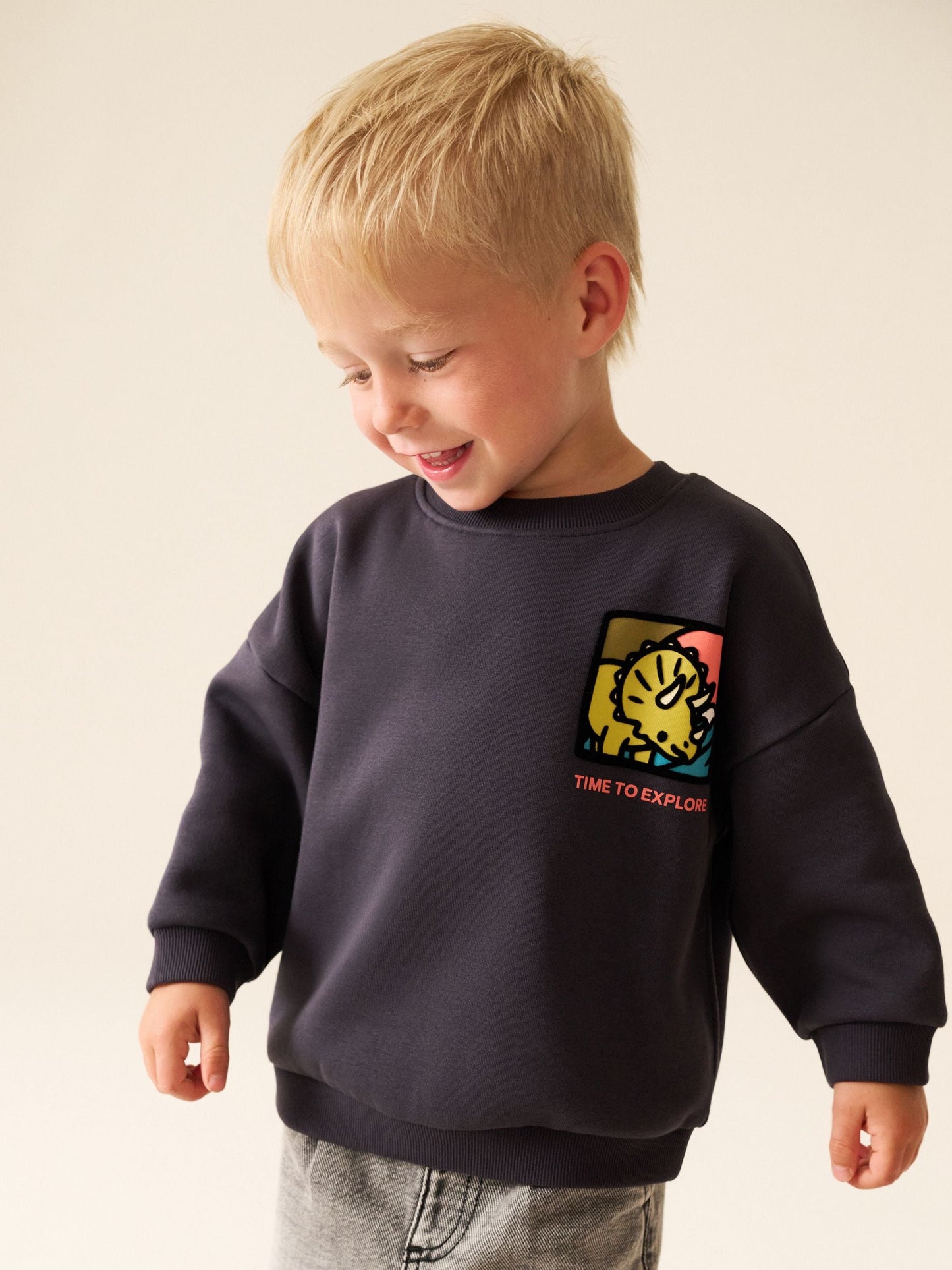 Dsiney Kidz - Dark Grey Dinosaur Back Printed Crew Neck Sweat Top (3mths-7yrs) image 2