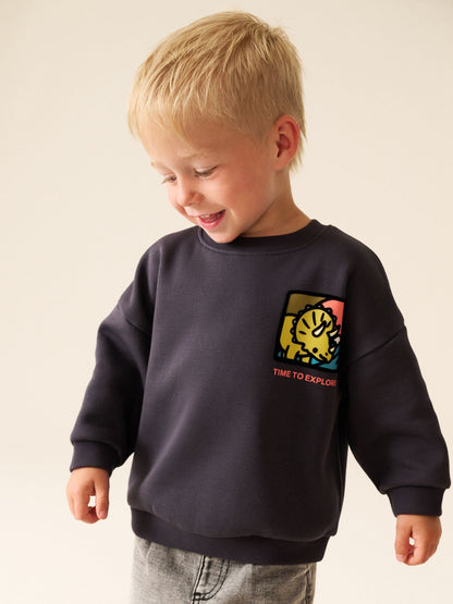 Dsiney Kidz - Dark Grey Dinosaur Back Printed Crew Neck Sweat Top (3mths-7yrs) image 2
